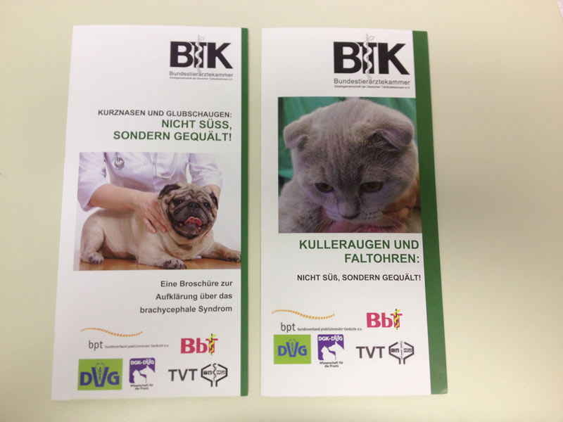 Links der erste und rechts der zweite Flyer (Nov 
2019) der Bundesteriärztekammer zur Aufklärung von 
künftigen Tierbesitzern.